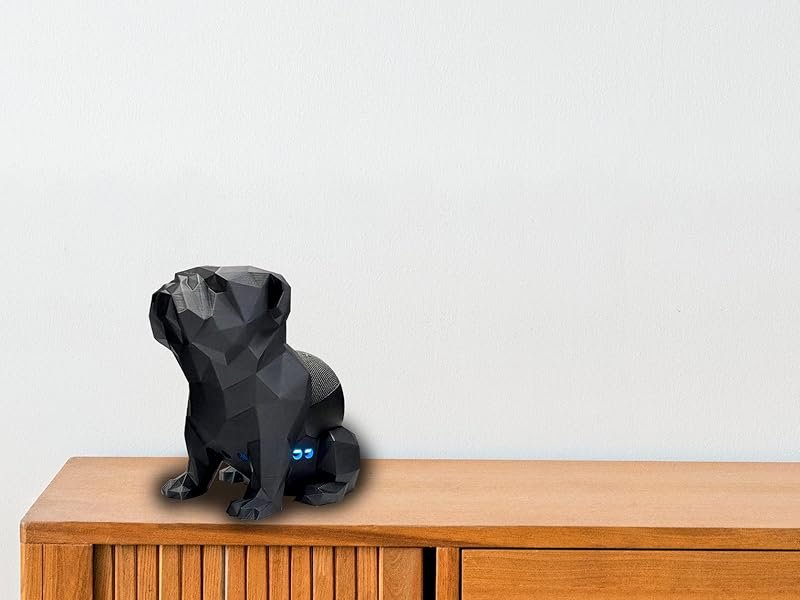 bulldog, alexa, echo dot, cachorro